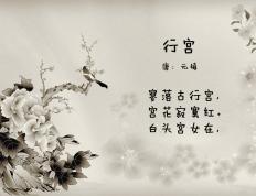 开云体育登录-福登璀璨夜！三狮军团破波兰，曼城太子打出生涯代表作