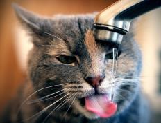 开云体育在线-湖人展翅制霸老鹰，世界排名争夺战焦点战再现紫金雄风