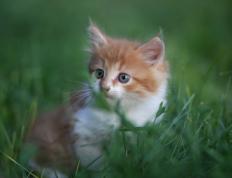 开云体育中国-梦回巅峰！京多安独造三球，皇马豪华防线为何一夜崩解？