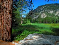 开云APP-冰与火之歌，范弗利特在吉林队对阵热火的焦点战中证明自己