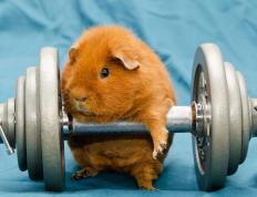 开云官网-北欧利刃刺穿南美盾牌，厄德高艺术大师级表现彻底打爆智利防线