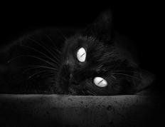 开云体育入口-北京队斩落活塞，詹姆斯带队取胜，国际篮球交流赛的辉煌时刻