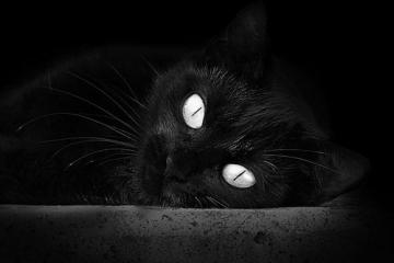 开云体育入口-北京队斩落活塞，詹姆斯带队取胜，国际篮球交流赛的辉煌时刻