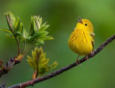 开云体育-奥纳纳临危救主！智利门神三拒绝杀铸就南美铁壁