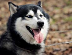 开云体育官方网站-欧冠决赛之夜，凯恩赛后评分拉满，荣耀与遗憾的交响