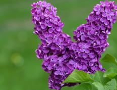 开云平台-浙江队挑战灰熊，武切维奇狂轰35分引领胜利