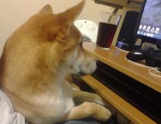 开云体育-世界排名争夺战之夜，C罗个人能力的完美绽放