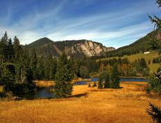 开云体育APP下载-引擎轰鸣与球场呐喊，那一夜的竞速与决断