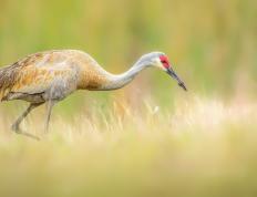 开云体育下载-德甲争冠战之夜，冷月孤灯，一个囚徒的救赎