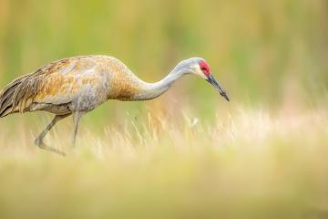 开云体育下载-德甲争冠战之夜，冷月孤灯，一个囚徒的救赎
