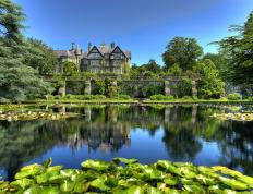 开云体育登录-沙漠风暴，卡塞米罗一锤定音，土耳其与沙特的绿茵命运之战