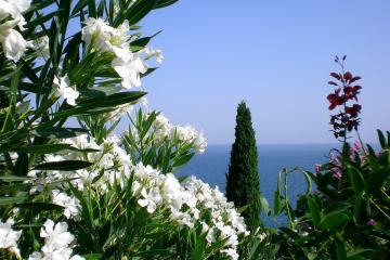 开云平台-意甲焦点战映照CBA德比，广东队拿下深圳队的战略胜利