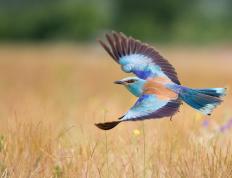 开云体育APP下载-突尼斯淘汰赛惊险过关几内亚，孙兴慜存在感拉满—足球之夜的激情与荣耀