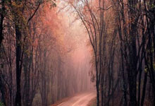 开云平台-法国队绝杀中国队，李梓嘉关键制胜