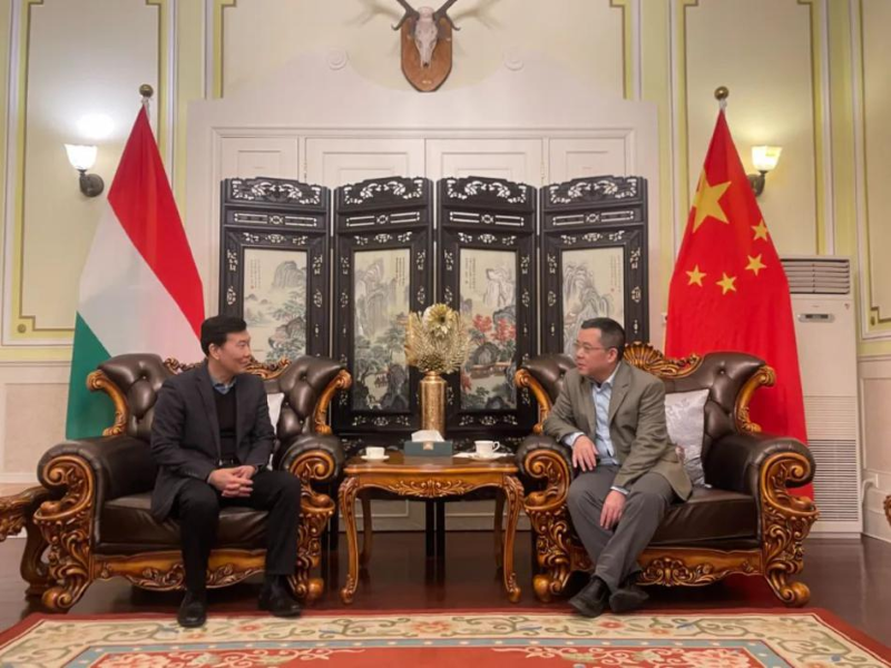 开云体育官网-奥地利代表团实现历史突破