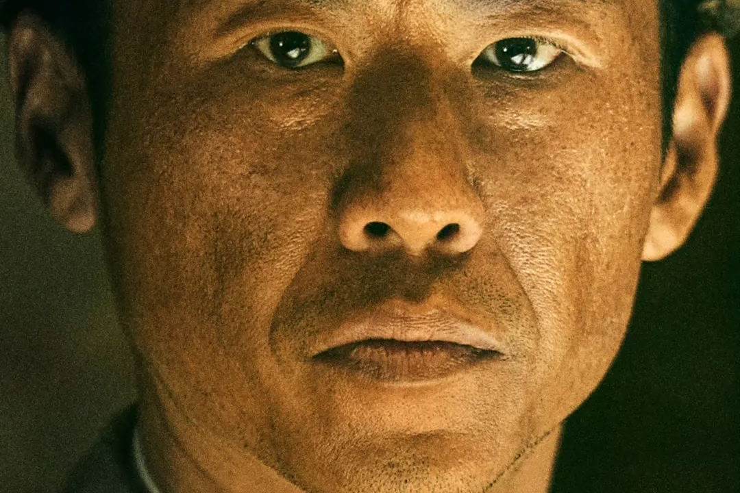开云体育APP下载-新生力量逐渐崭露头角，实力进一步突显