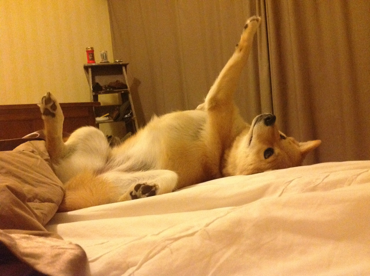 开云平台-意甲焦点战映照CBA德比，广东队拿下深圳队的战略胜利