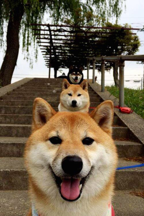 开云体育app-从荒漠到绿茵圣殿，哈弗茨那一脚，踢醒了澳大利亚沉睡的巨人