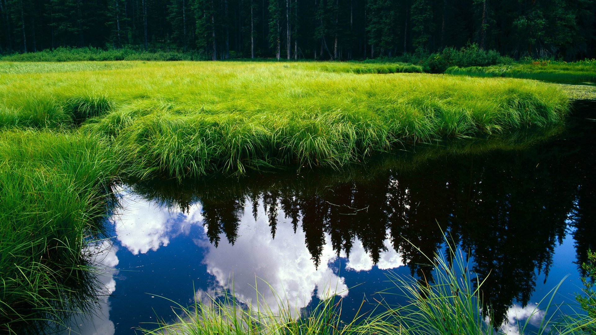 开云体育app-迪巴拉跨界点燃战火，当伊拉克对阵希腊，末节之王如何改写结局