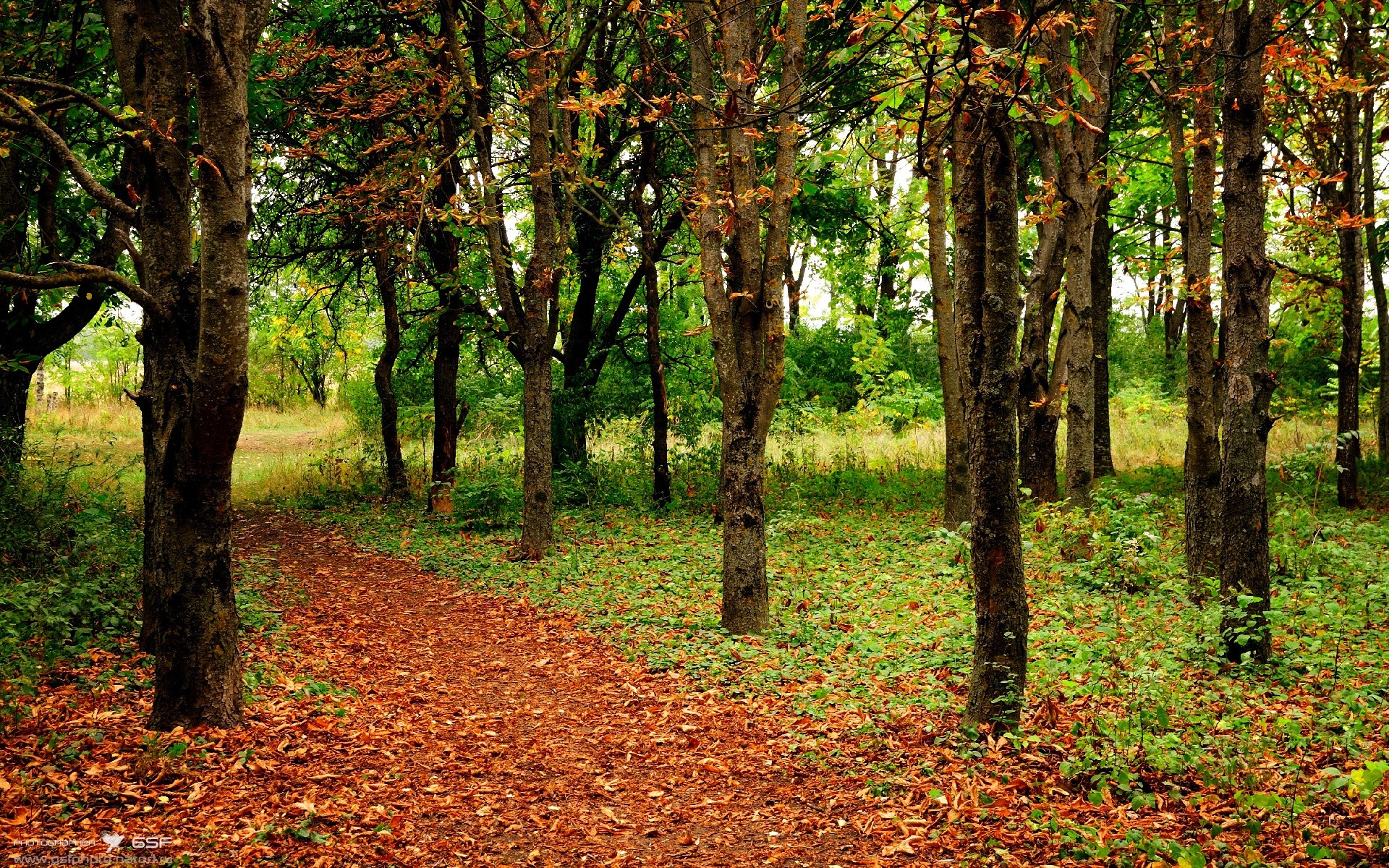 开云平台-消解的艺术，当哥伦比亚消解控制力，若日尼奥的硬仗价值何在？