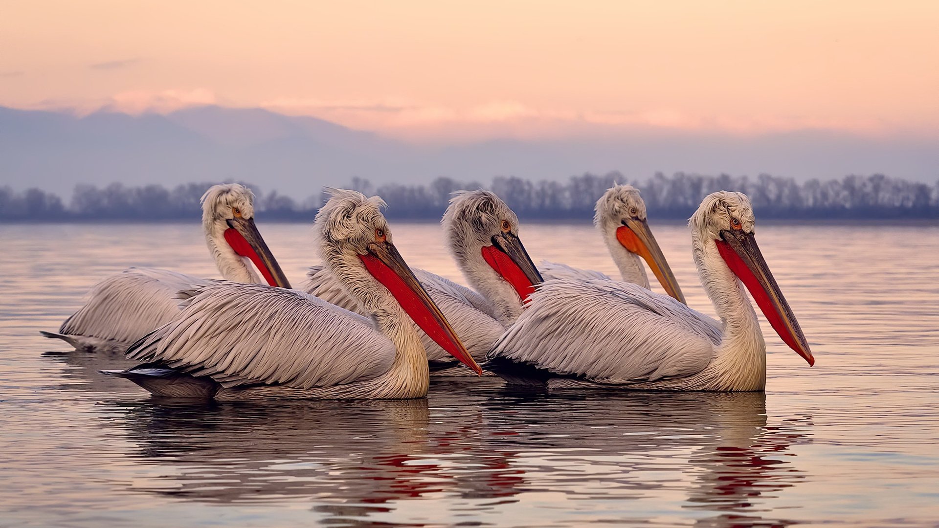 开云体育-皇马狂胜比利时新星联队,巴斯托尼成关键先生主导胜利