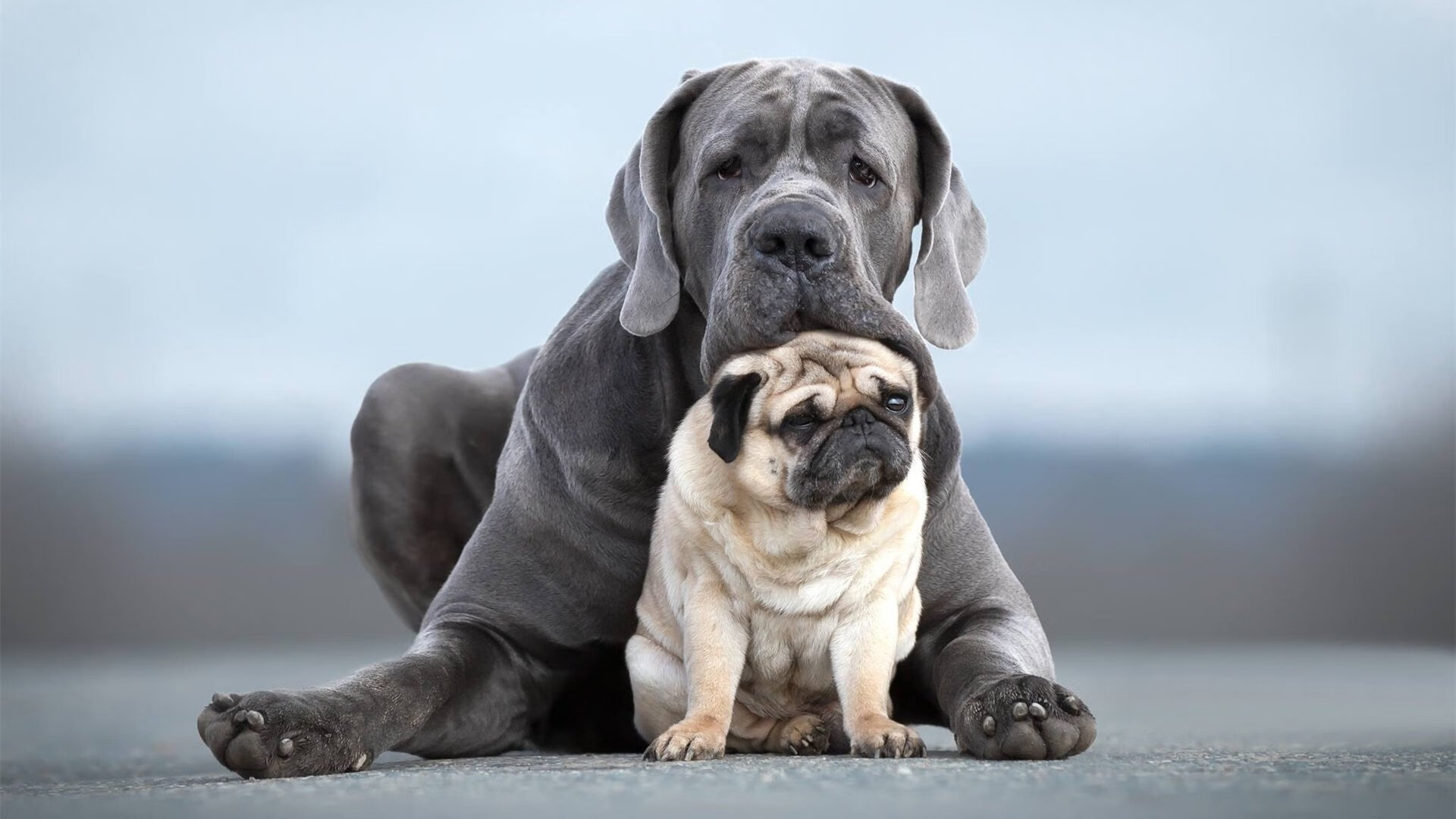 开云体育app-跨界体育风云录,新疆队强势拿下尼克斯,班凯罗在F1街道赛接管比赛