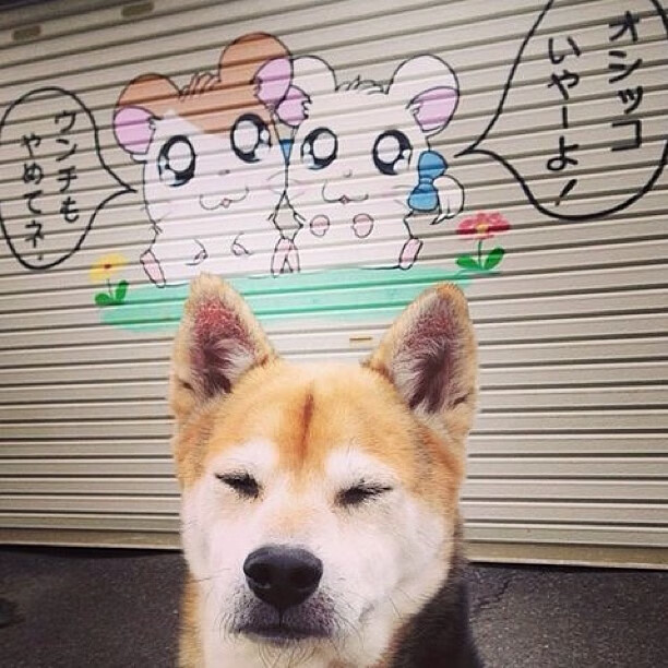 开云体育登录-罗德里,牙买加风暴中的定海神针,硬仗之王撕裂利物浦中场