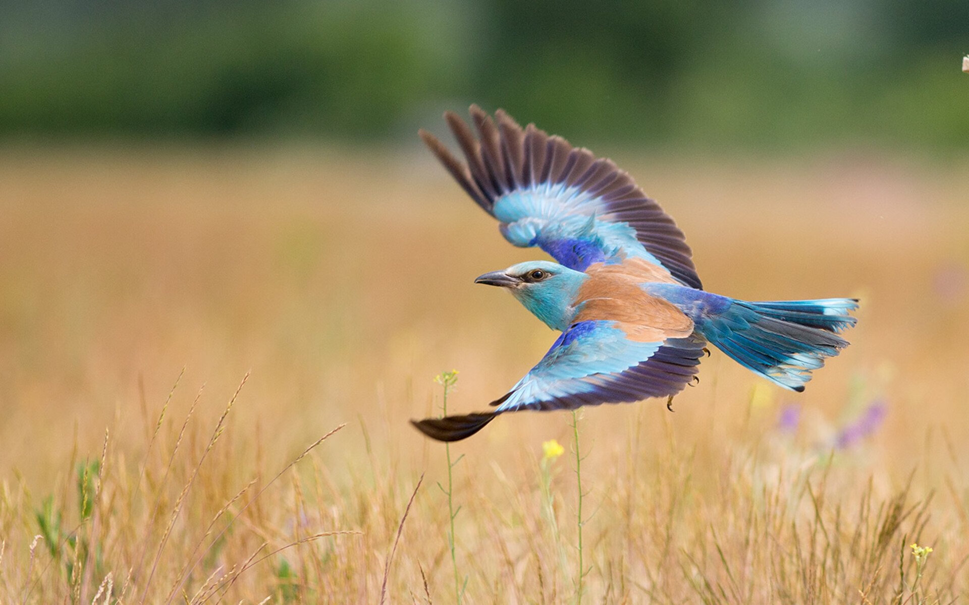 开云体育-一剑封喉!马刺淘汰快船,英格拉姆关键战不手软谱写新传奇