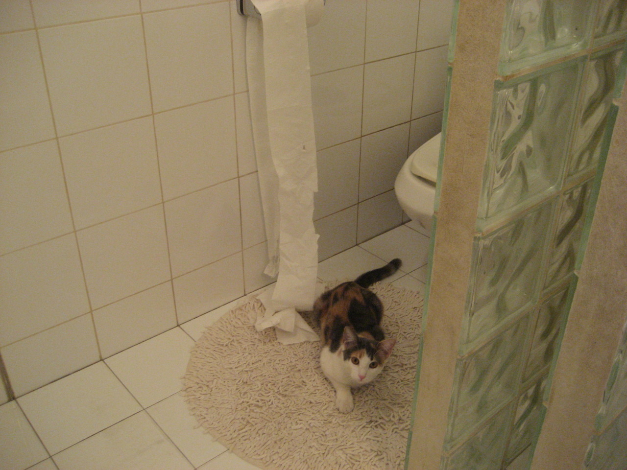 开云体育app-深圳猎豹大战芝加哥公牛，库里的制胜三分改写篮球史