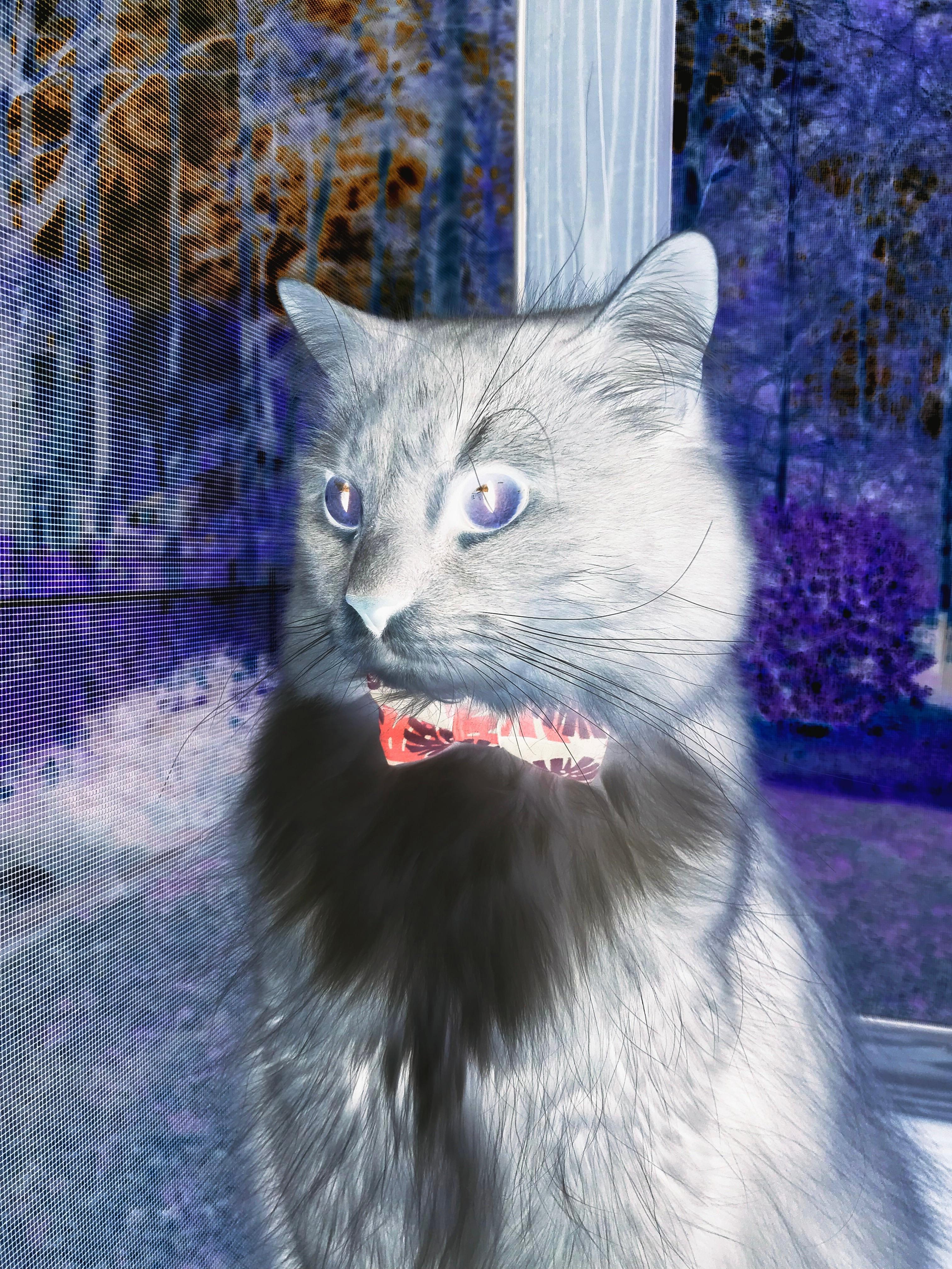 开云体育app-爆冷之夜！武切维奇如德甲争冠英雄般接管比赛，公牛力克独行侠