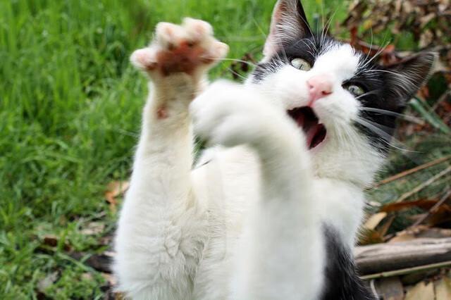 开云体育-奥纳纳临危救主！智利门神三拒绝杀铸就南美铁壁