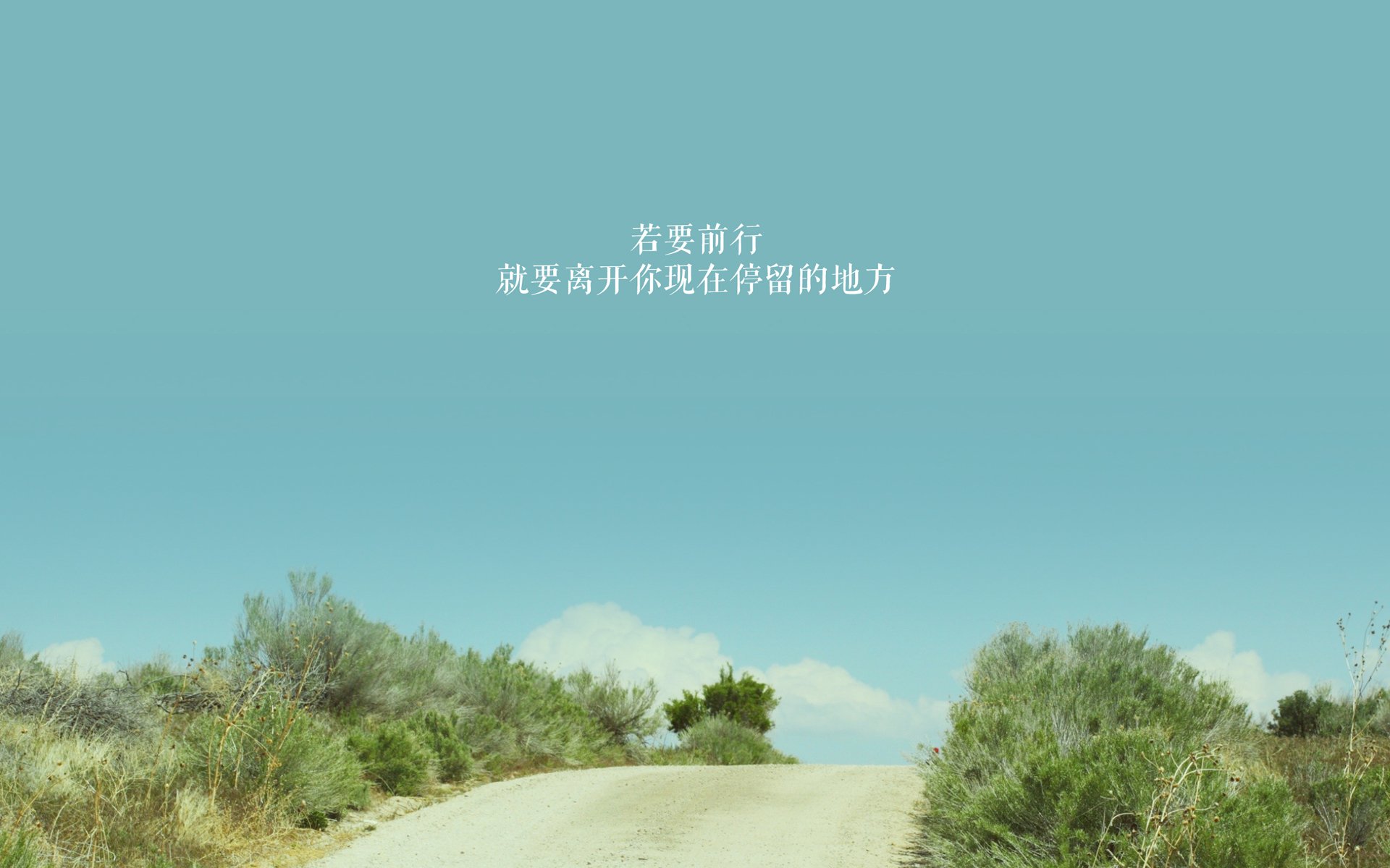 开云体育中国-定海神针!新西兰险胜卡塔尔,阿克关键回合不手软