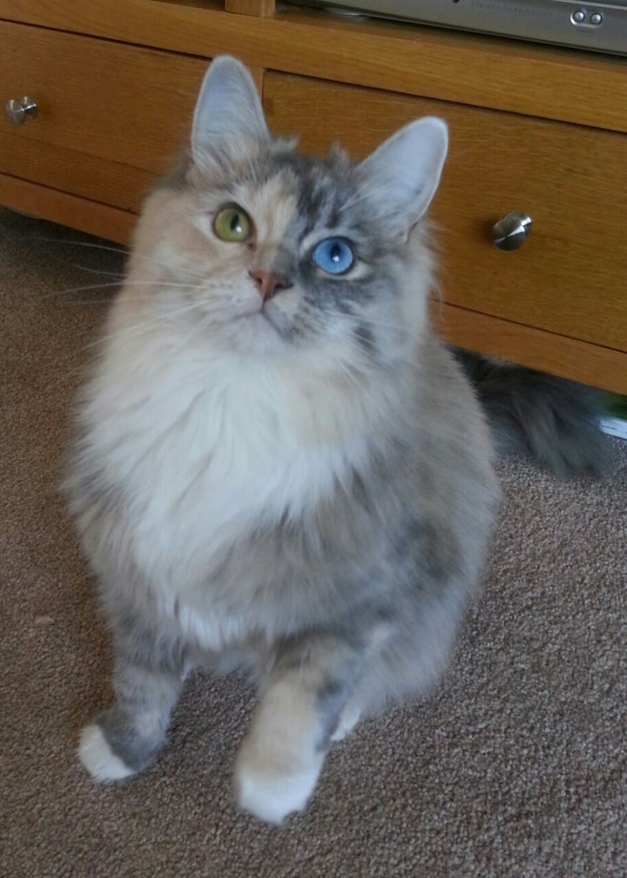 开云体育APP下载-当大帝降临五棵松,恩比德末节19分撕裂北京队防线