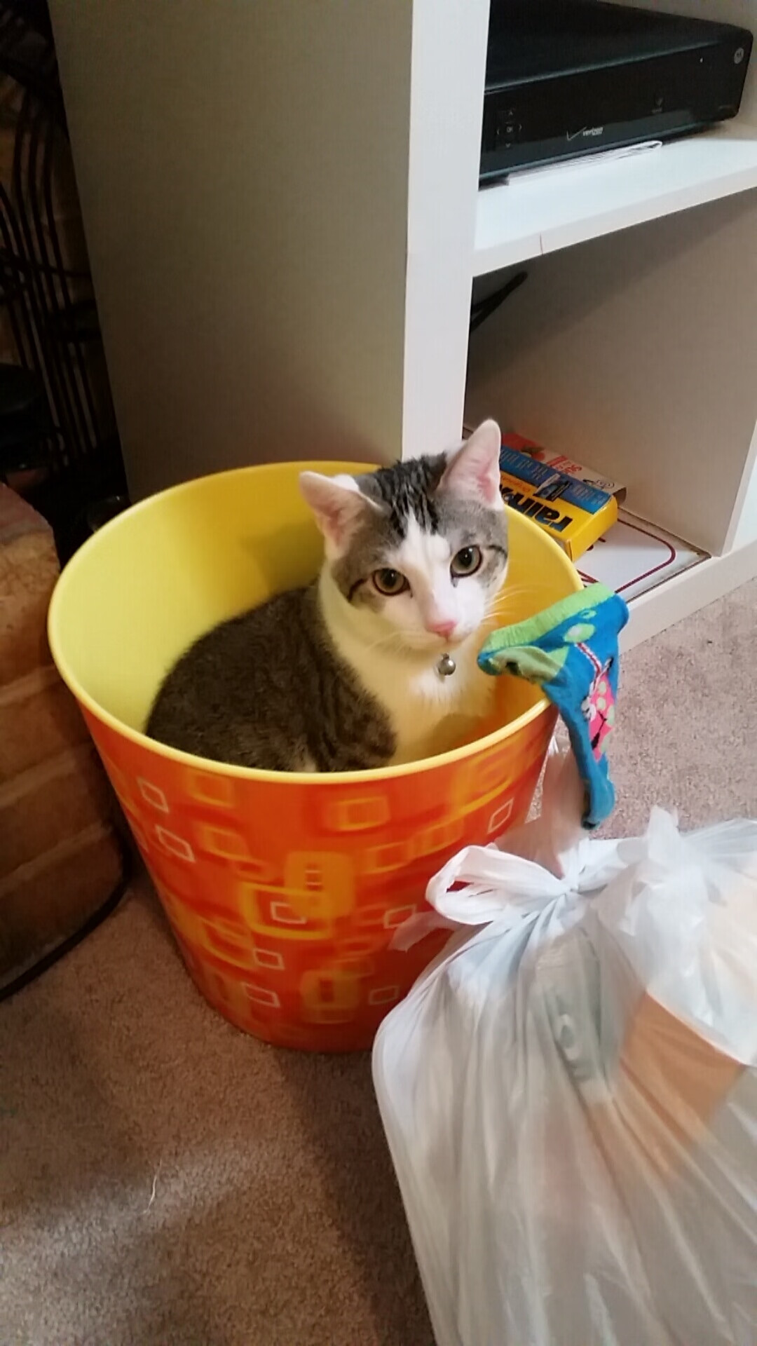 开云体育中国-哈登破茧成蝶,广厦骑士大战背后的全能统治密码