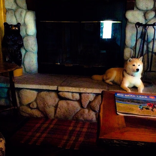 开云平台-轰鸣与沉默，F1街道赛之夜与文班亚马的证明之战