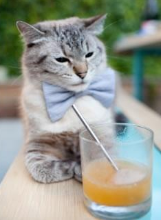 开云体育APP下载-李刚仁，欧冠之夜的亚洲王储，舞台越大越强