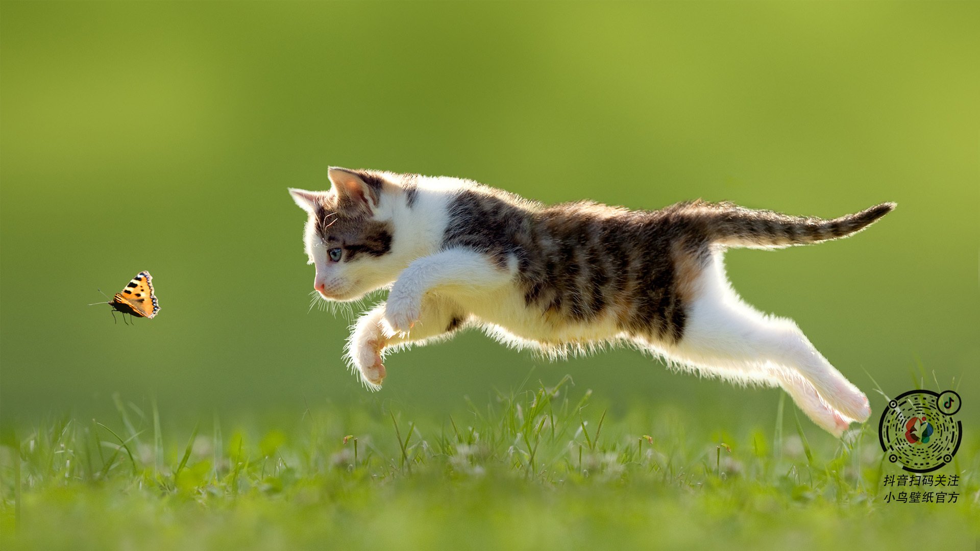 开云体育APP下载-凯尔特人的节奏与杜兰特的关键—一场跨越地域的篮球哲学对话