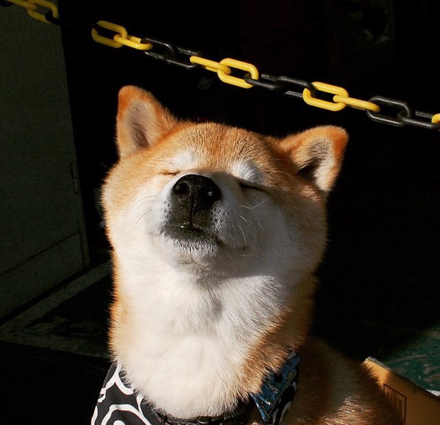 开云下载-跨时空的刺杀，当德罗赞披上灰熊战袍，快船王朝的裂痕从何而生？