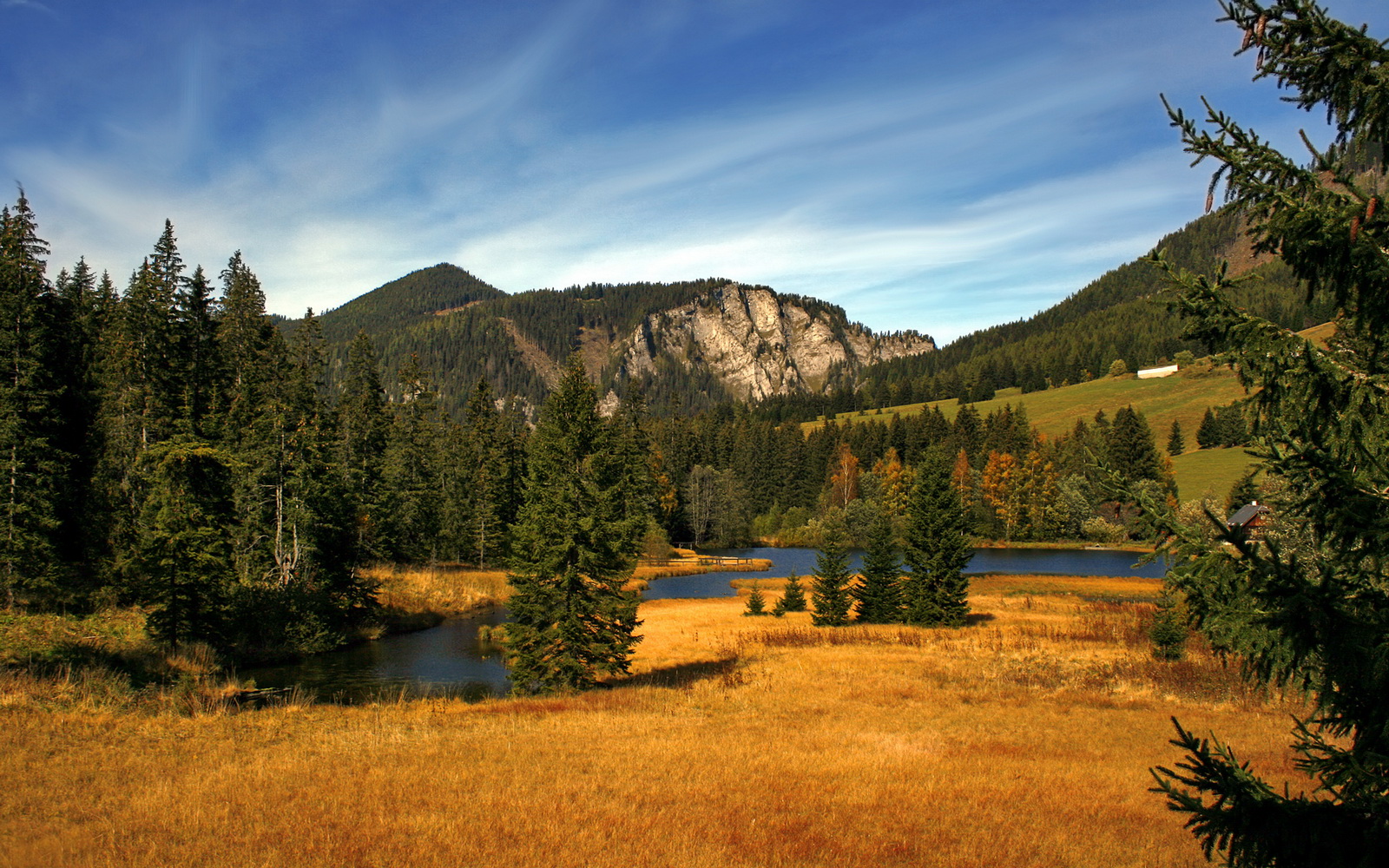 开云体育平台APP-老鹰展翅击溃火箭,米切尔关键先生主宰胜利之夜